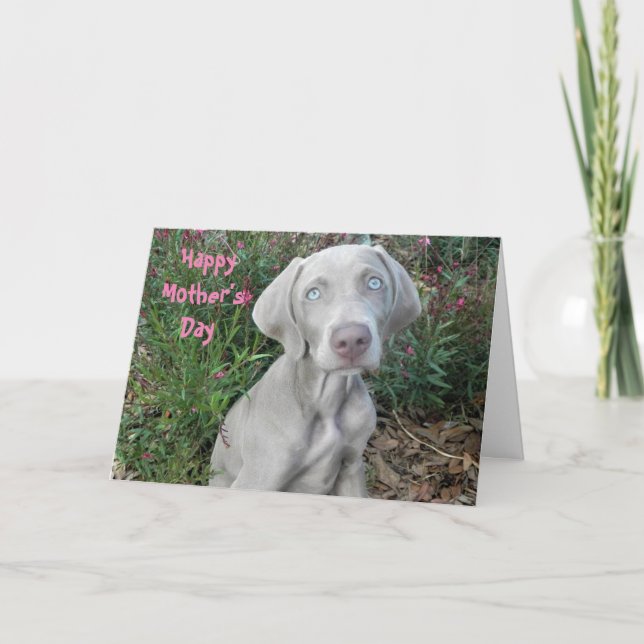 Lycklig Mors dag från Weimaraner Hund Card Kort (Framsida)