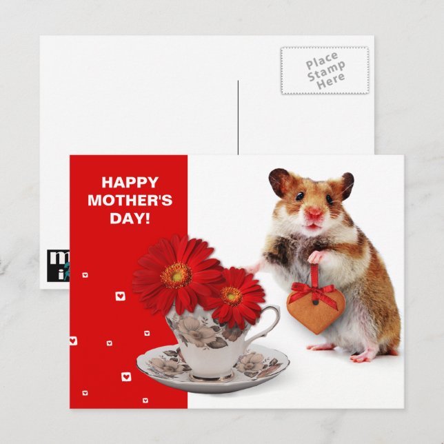 Lycklig Mors dag. Funny Hamster Vykort (Fram/baksida)