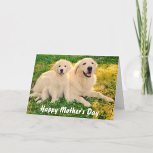 Lycklig Mors dag Golden Retriever Hundar Animal Kort
