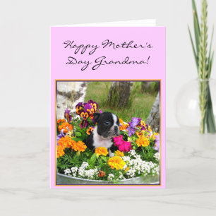 Lycklig Mors dag Grandma Boston Terrier-kort Kort