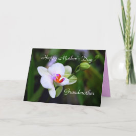 Lycklig Mors dag Grandother Phalaenopsis Orchid Kort