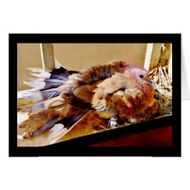 Lycklig Mors dag! Hälsningskort