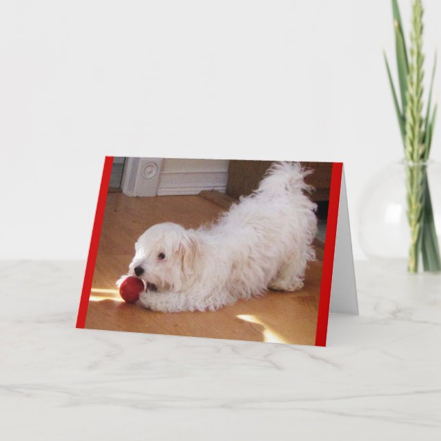 Lycklig Mors dag - Havesisk marionett Kort (Framsida)