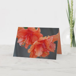 Lycklig Mors dag! Hibiscus-gratulationskort Kort