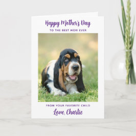 Lycklig Mors dag - Hund Photo Worlds Best Hund Mam Kort