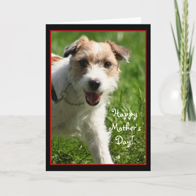 Lycklig Mors dag Jack Russell Terrikort Kort (Framsida)