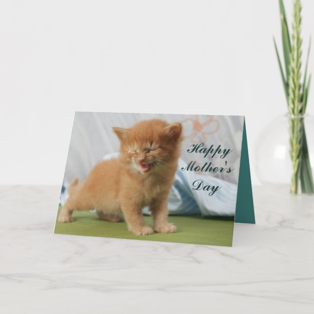 Lycklig Mors dag Kitten Kort (Framsida)