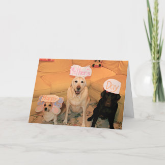 lycklig mors dag kort