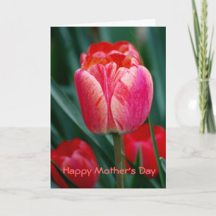 Lycklig Mors dag Kort