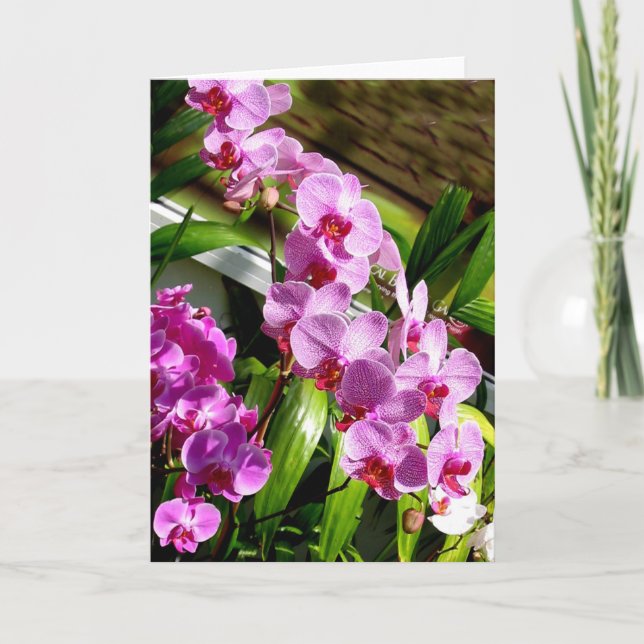 lycklig mors dag-kort kort (Framsida)