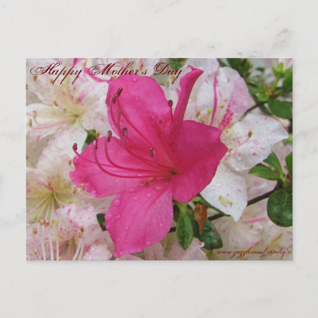 Lycklig Mors dag-kort Vykort (Framsida)