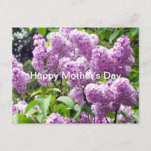 Lycklig Mors dag-Lilac Bush Vykort