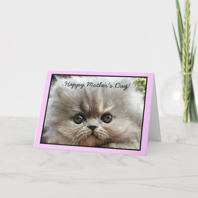 Lycklig Mors dag Persian Kitten-hälsningskort Kort (Framsida)