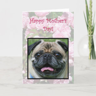 Lycklig Mors dag Pug Hund Kort