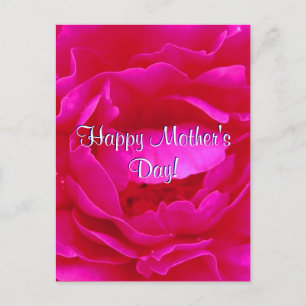 Lycklig Mors dag Rosa ros Vykort
