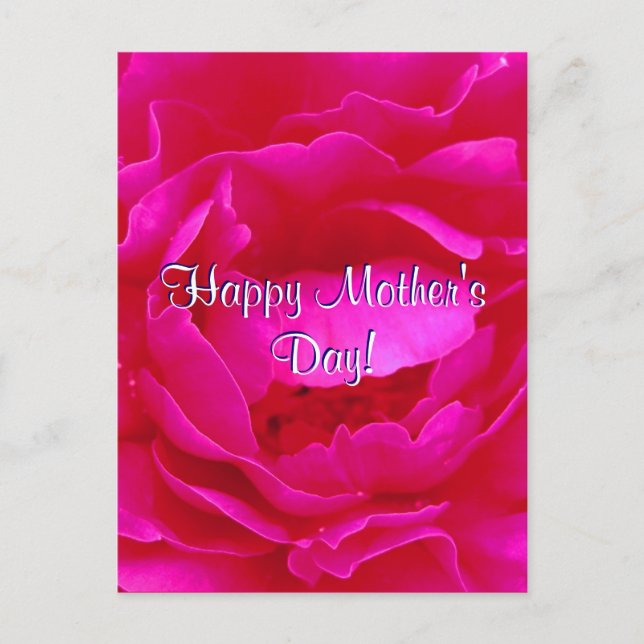 Lycklig Mors dag Rosa ros Vykort (Framsida)