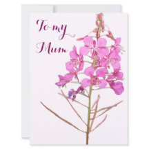 Lycklig Mors dag rosa vild blomboho blommigt