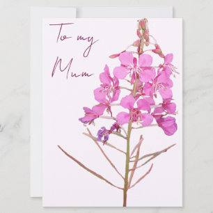 Lycklig Mors dag rosa vild blomboho blommigt Julkort