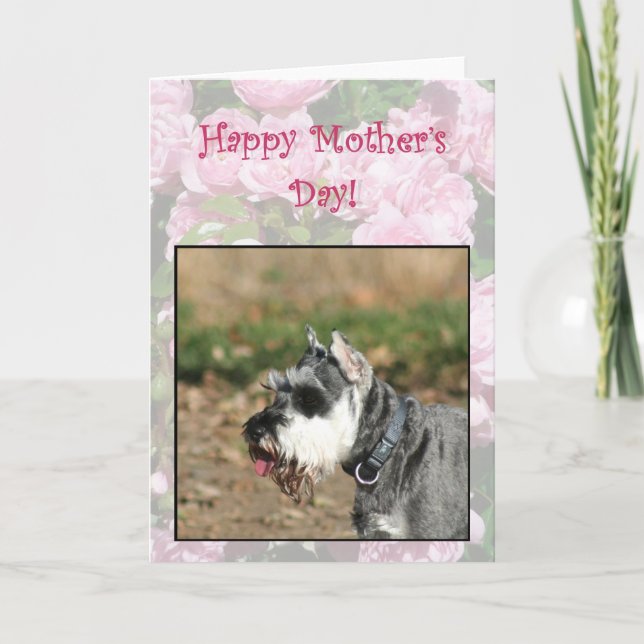 Lycklig Mors dag Schnauzer hund hälsningskort Kort (Framsida)