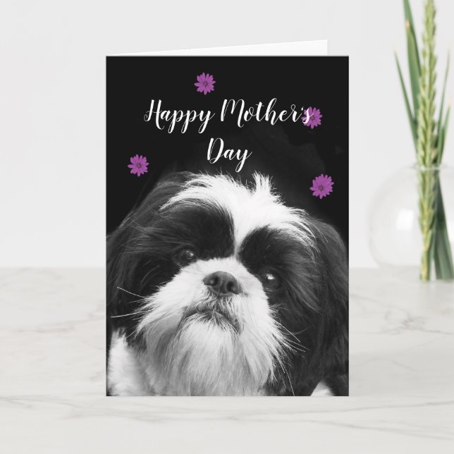 Lycklig Mors dag Shih Tzu-hälsningskort Helgkort (Framsida)