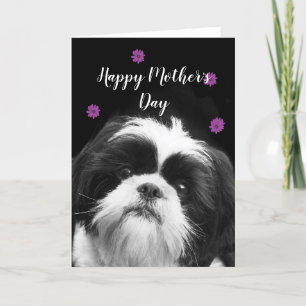 Lycklig Mors dag Shih Tzu-hälsningskort Helgkort