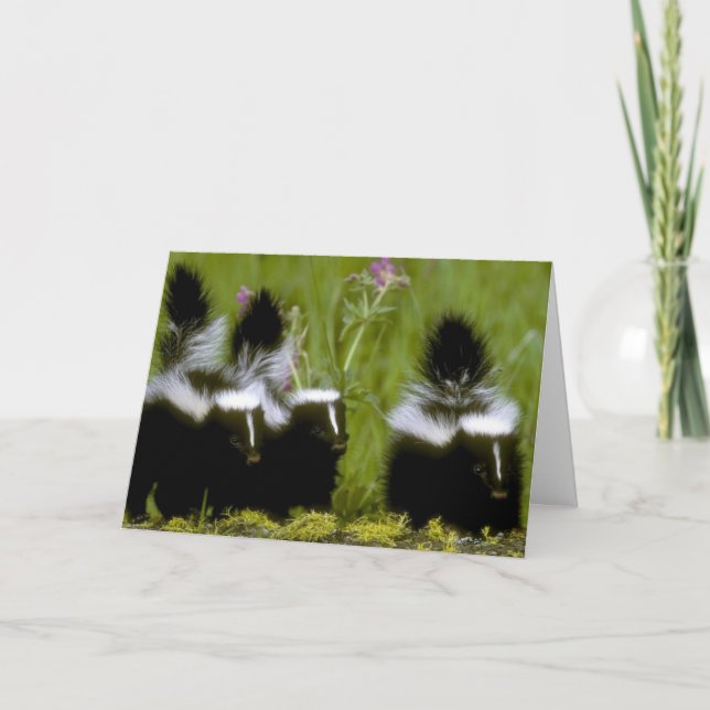 Lycklig Mors dag Skunk Kort (Framsida)