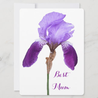 Lycklig Mors dag söt lila iris blommigt 4 morsa Julkort