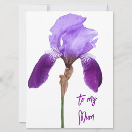 Lycklig Mors dag söt lila iris blommigt Julkort