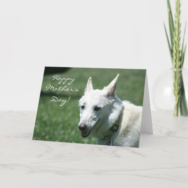 Lycklig Mors dag White German Shepherd Card Kort (Framsida)