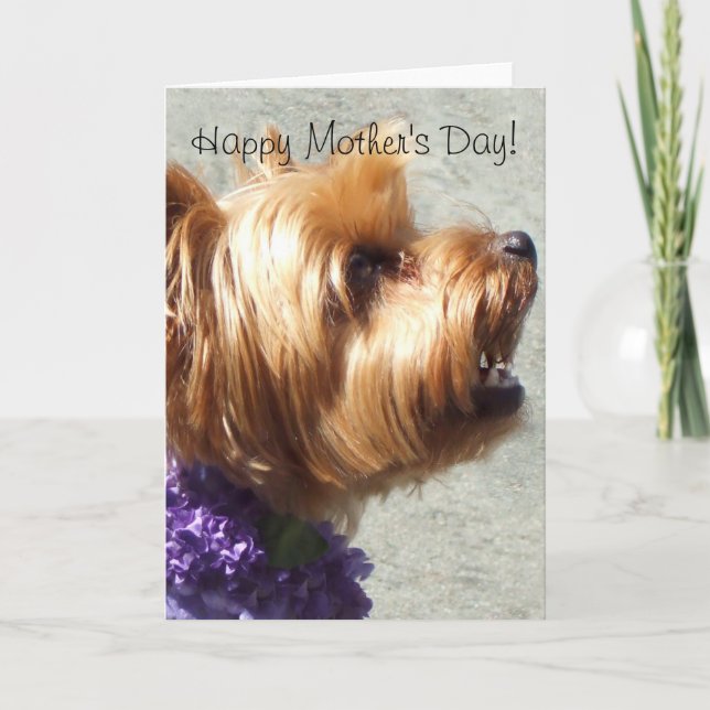 Lycklig Mors dag Yorkshire Terrier Greeting Card Kort (Framsida)