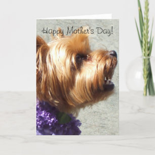 Lycklig Mors dag Yorkshire Terrier Greeting Card Kort