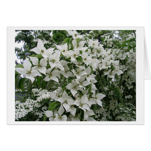 Lycklig New Life Tillsammans Hälsningskort (Framsidan Horizontal)