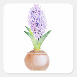 Lycklig Noroz Hyacinth Fyrkantigt Klistermärke