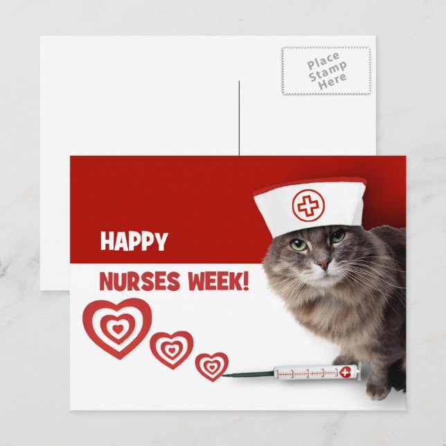 Lycklig Nurses Week. Funny Kattunge Vykort (Fram/baksida)