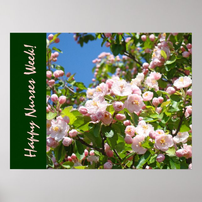 Lycklig Nurses Week! Konst skriver ut Sjukskötersk Poster (Framsidan)