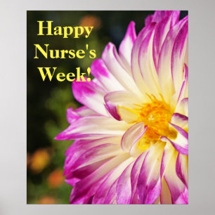 Lycklig Nurses Week! poster utskrifter Nurse RN.