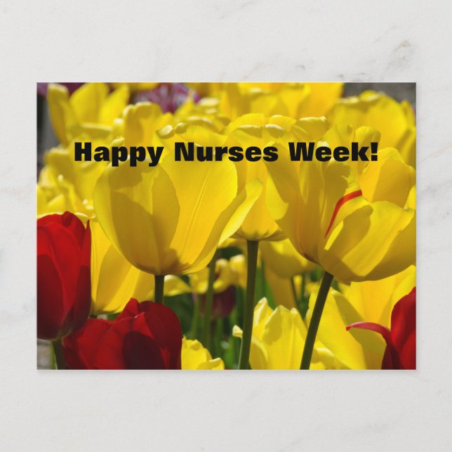 Lycklig Nurses Week! vykort Tulips-utvärdering (Framsida)