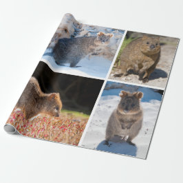 Lycklig och gullig quokka av Australien Presentpapper