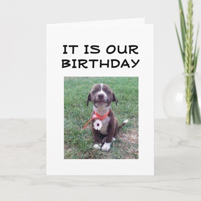 LYCKLIG "ÖMSESIDIG BIRTHDAG" KORT (Framsida)