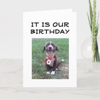 LYCKLIG "ÖMSESIDIG BIRTHDAG" KORT