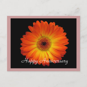 Lycklig orange gerbera-daisyn vykort