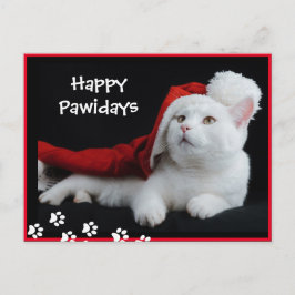 Lycklig Pawidays, Cat, Art Postcard Vykort