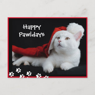 Lycklig Pawidays, Cat, Art Postcard Vykort