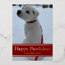 Lycklig Pawlidays