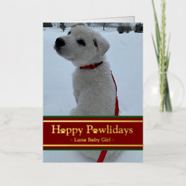 Lycklig Pawlidays