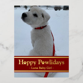 Lycklig Pawlidays