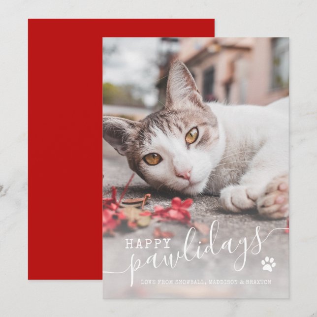 Lycklig Pawlidays Funny Cat Photo Pet-jul Julkort (Fram/baksida)