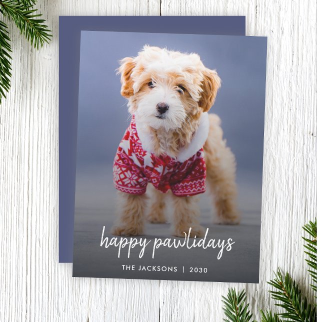 Lycklig Pawlidays | Hund Julens moderna Cute Blue Julkort (Celebrate your furry friend with a modern "Happy Pawlidays" photo Christmas card by Guava)