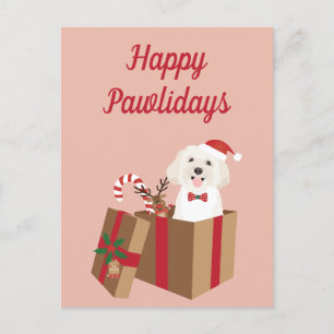 Lycklig Pawlidays Maltipoo Julklapp Vykort