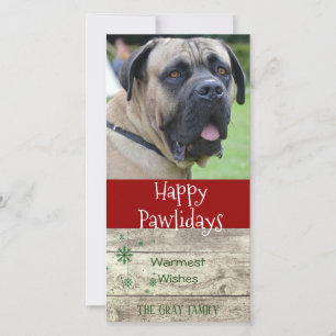Lycklig Pawlidays Pet jul Hälsning Photo Julkort